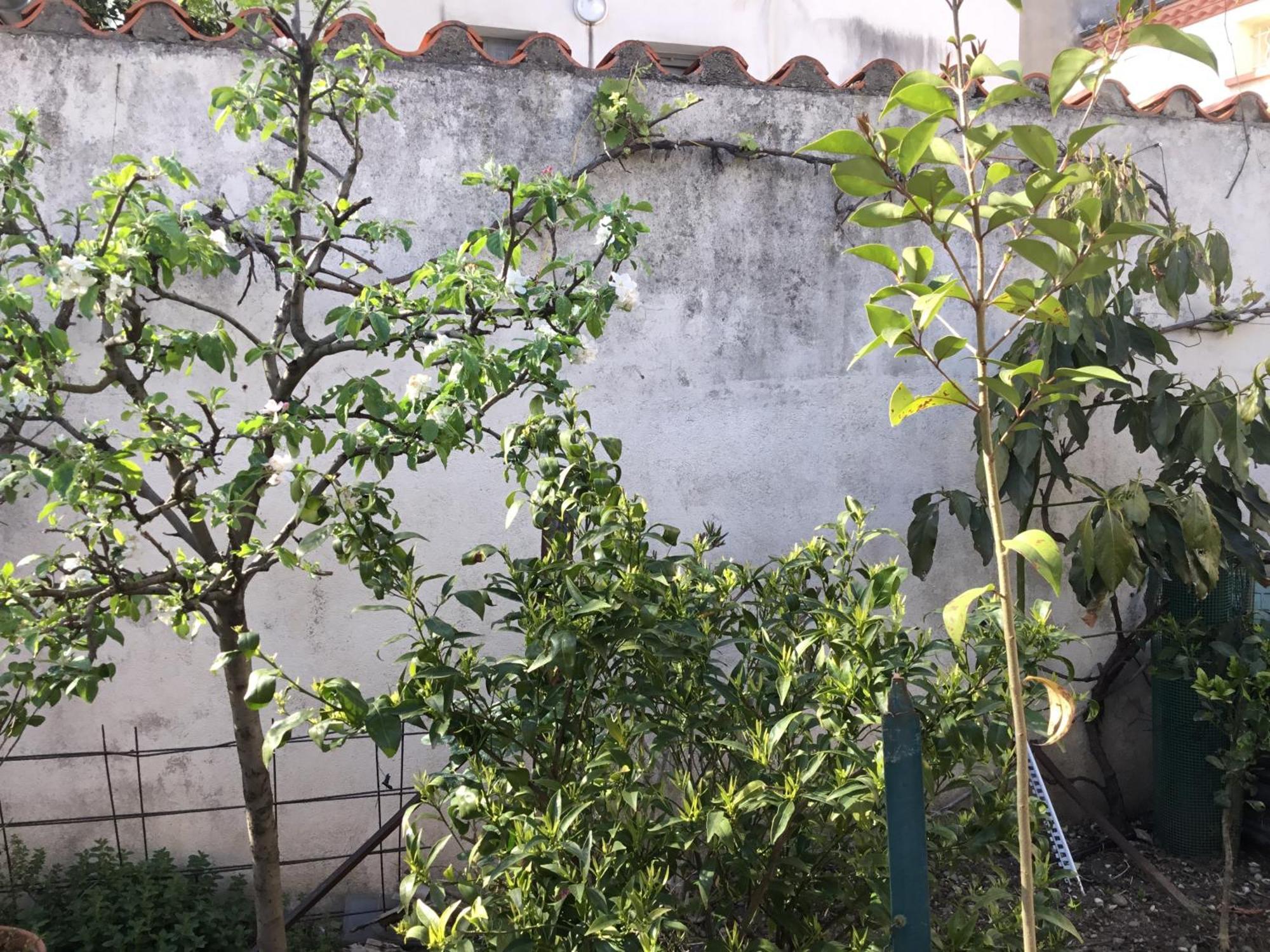 Сasa de vacaciones Maisonette Bedogao *